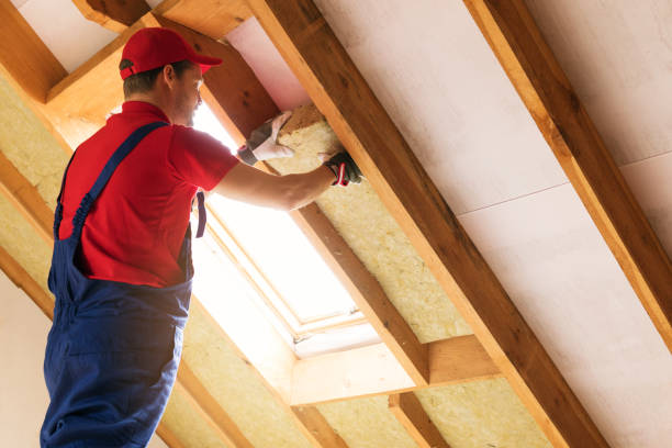 Types of Insulation We Offer in La Palma, CA